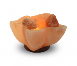 Himalayan Salt Lamp - Carved - Flower Abundance Bowl